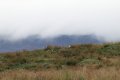 IMG_6670.JPG