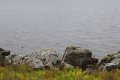 IMG_6706.JPG