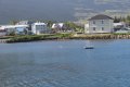 IMG_6884.JPG